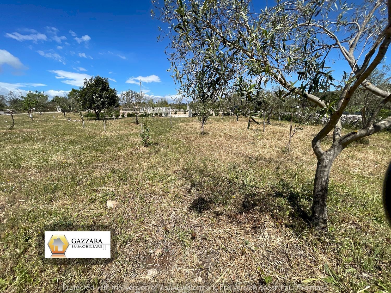 Foto 2 - Terreno agricolo sp4, Noto - foto 2