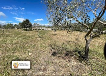 Foto 2 - Terreno agricolo sp4, Noto - foto 2