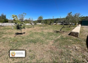 Foto 4 - Terreno agricolo sp4, Noto - foto 4
