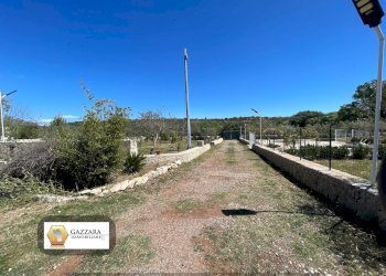 Foto 6 - Terreno agricolo sp4, Noto - foto 6