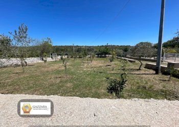 Foto 17 - Terreno agricolo sp4, Noto - foto 17