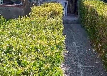 Giardino - One-room apartment Galluccio - photo 4