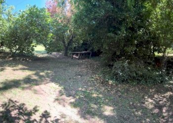 Giardino - Terreno edificabile via Carlo Jussi, 154/2, San Lazzaro di Savena - foto 4