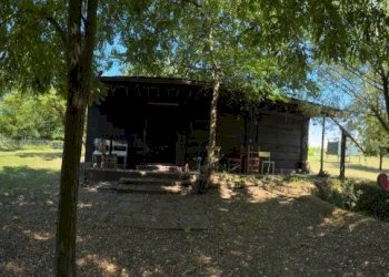 Magazzino - Terreno edificabile via Carlo Jussi, 154/2, San Lazzaro di Savena - foto 5