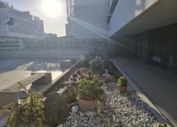 Cortile interno - Appartamento via Luce D'Eramo, Roma (zona Casal Boccone) - foto 4