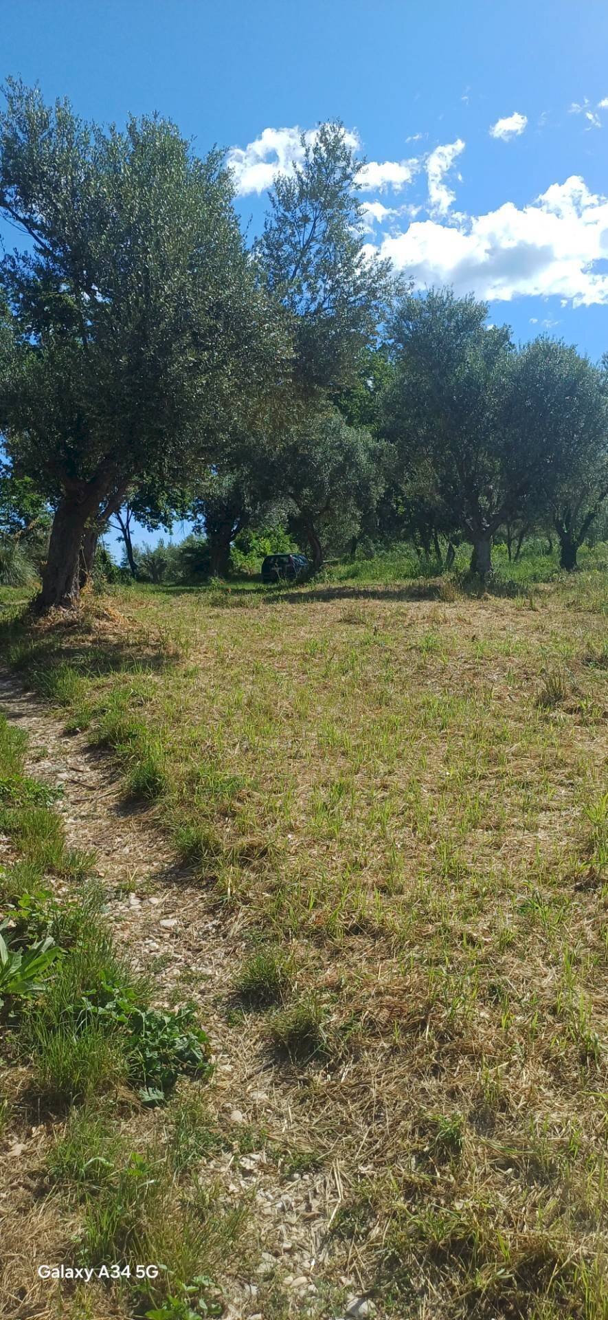 Foto 3 - Rustico contrada Piana Santi, Massignano - foto 3