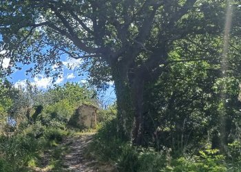 Foto 1 - Rustico contrada Piana Santi, Massignano - foto 1
