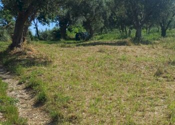Foto 3 - Rustico contrada Piana Santi, Massignano - foto 3