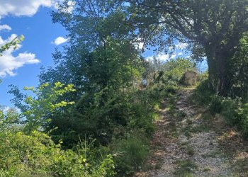 Foto 4 - Rustico contrada Piana Santi, Massignano - foto 4