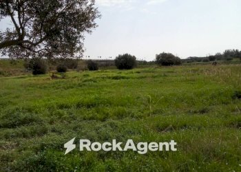Terreno - Terreno edificabile via Grotteria Mare, Siderno - foto 4