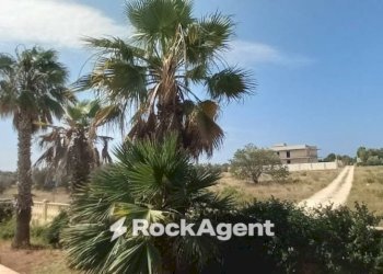 Terreno - Villa via 168, Porto Cesareo - foto 18