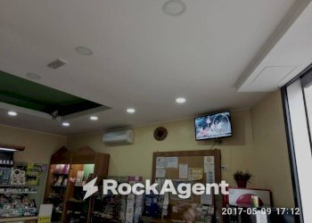 Interno non residenziale - Bar - Tabacchi - Ricevitoria Pescara - foto 5
