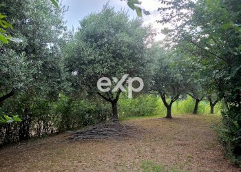 Villa Via San Filippo, Terre Roveresche - photo 60