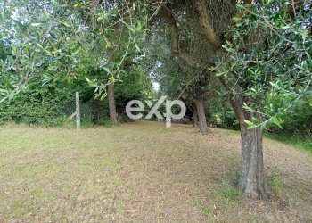 Villa Via San Filippo, Terre Roveresche - photo 62