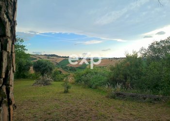 Villa Via San Filippo, Terre Roveresche - photo 63