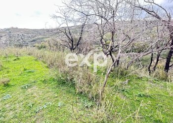 Warehouse Via Piersanti Mattarella, Villafranca Tirrena - photo 11