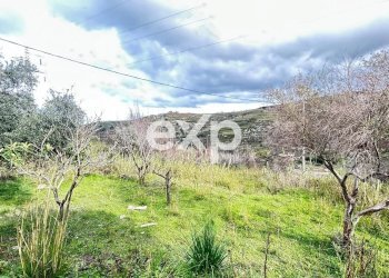 Warehouse Via Piersanti Mattarella, Villafranca Tirrena - photo 15
