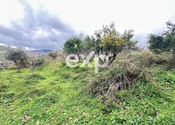 Warehouse Via Piersanti Mattarella, Villafranca Tirrena - photo 24
