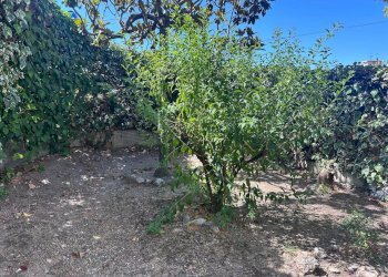 Four-room apartment Ventimiglia - photo 14
