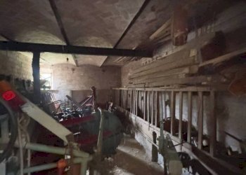 Rustico Medesano - foto 16