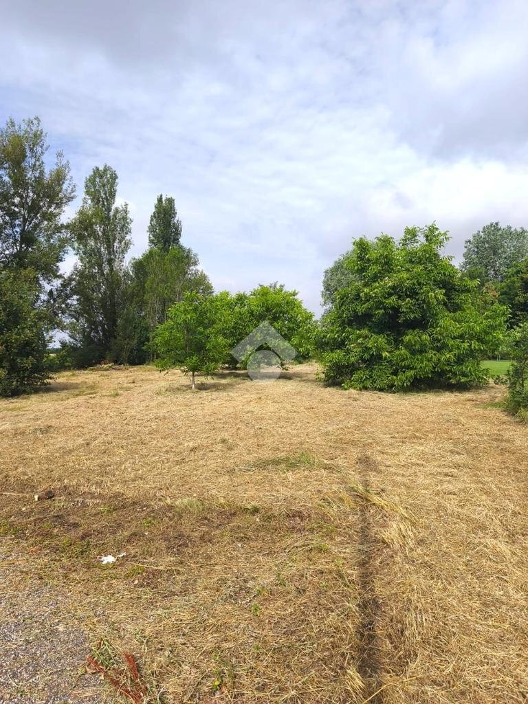 Agricultural land Via Longarola, Sala Bolognese - photo 2