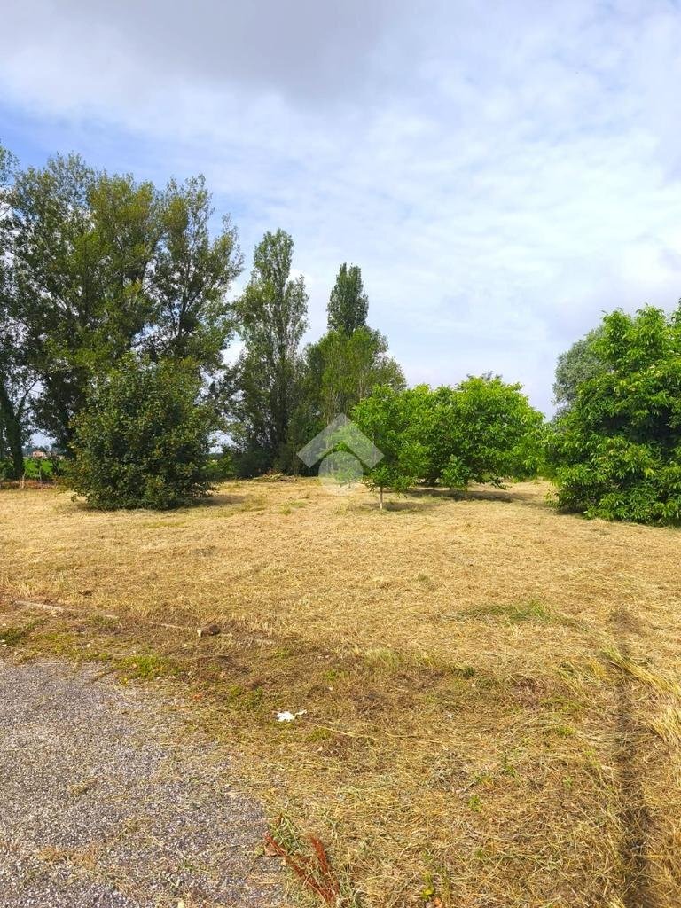 Agricultural land Via Longarola, Sala Bolognese - photo 3