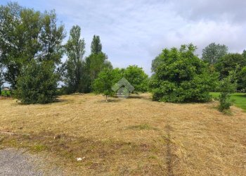 Agricultural land Via Longarola, Sala Bolognese - photo 1