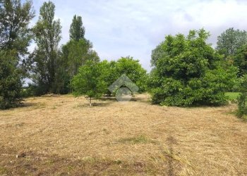 Agricultural land Via Longarola, Sala Bolognese - photo 2
