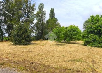 Agricultural land Via Longarola, Sala Bolognese - photo 3
