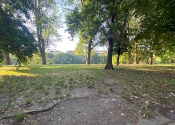 Bilocale Torino (zona Madonna del Pilone) - foto 33