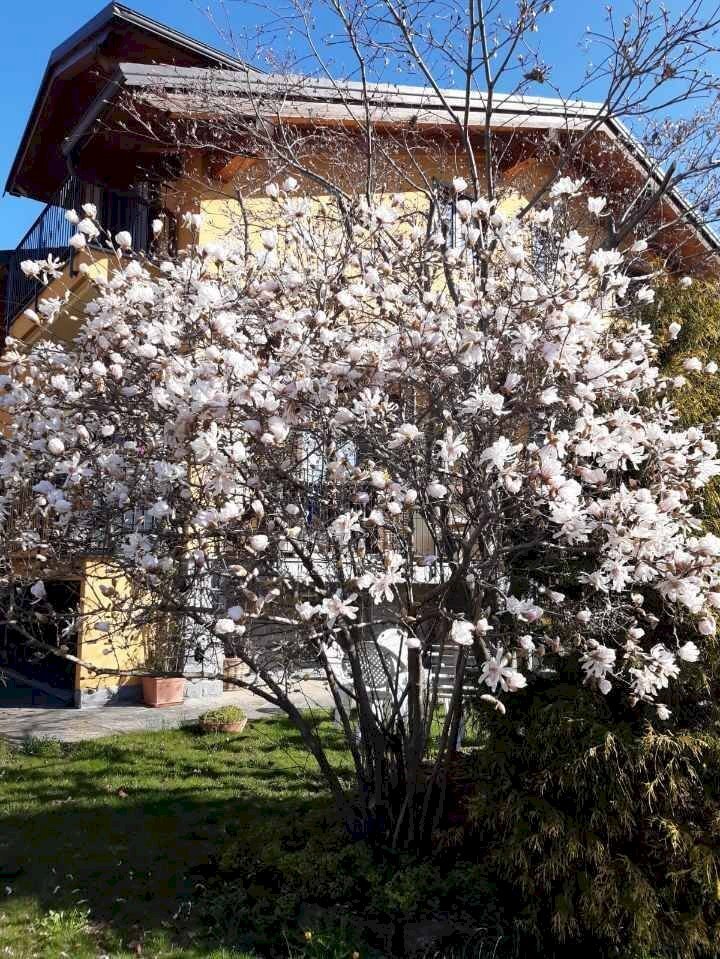 Semi-detached Villa Cervasca - photo 3