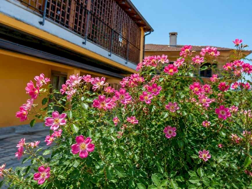 Villa Bifamiliare Cervasca - foto 2