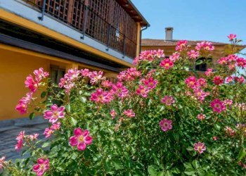Semi-detached Villa Cervasca - photo 2