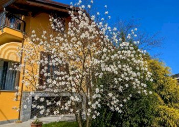 Semi-detached Villa Cervasca - photo 1