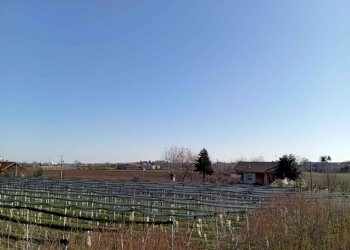 Appartamento Via Molino Morra, frazione Cerialdo, Cuneo - foto 4
