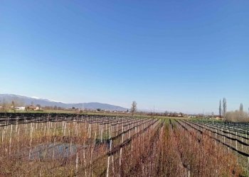 Appartamento Via Molino Morra, frazione Cerialdo, Cuneo - foto 5