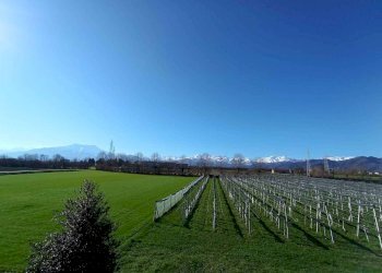 Appartamento Via Molino Morra, frazione Cerialdo, Cuneo - foto 7
