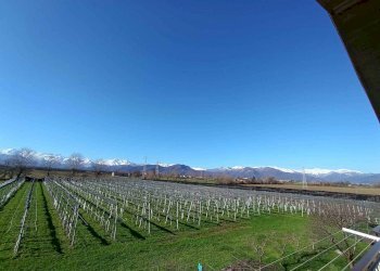 Appartamento Via Molino Morra, frazione Cerialdo, Cuneo - foto 8