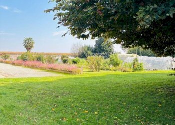 Appartamento Via del Bosco, Cuneo - foto 4