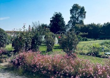 Appartamento Via del Bosco, Cuneo - foto 22