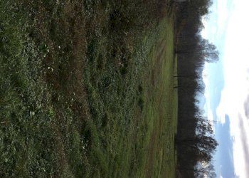 Terreno edificabile Via Statale Mondovì, Beinette - foto 6