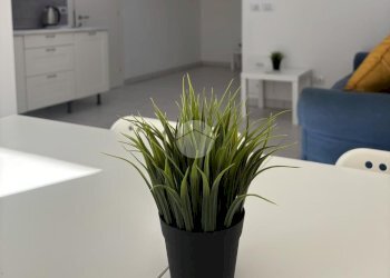 One-room apartment Viale italia, Cervia - photo 5