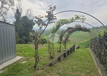 Casa semi indipendente Via Marello, San Martino Alfieri - foto 28