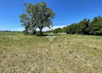 Terreno agricolo Strada Inghiaiata, Fontevivo - foto 8