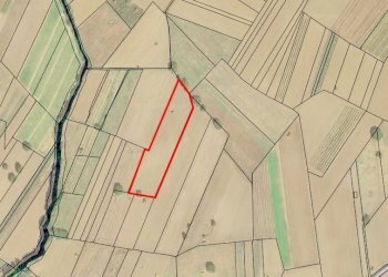 Foto 1 - Terreno agricolo Molara, Sturno - foto 1