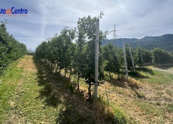 Foto 10 - Rustic Frazione Favret, Gressan - photo 10