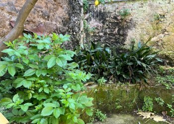 Foto 6 - Stabile - Palazzo VIA CASTELLO, Caiazzo - foto 6