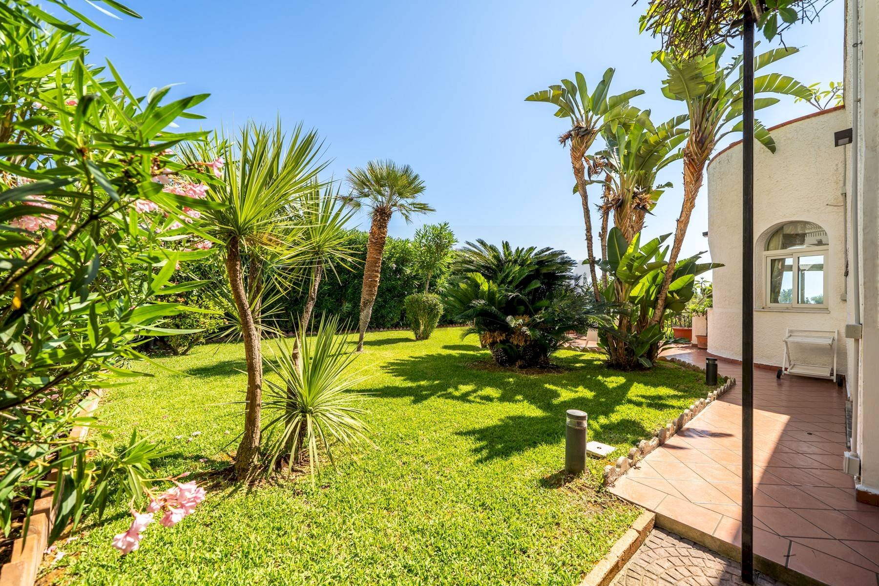 GIARDINO - Villa Lungomare Cristoforo Colombo
750, Palermo - foto 3