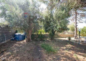 Giardino - Casa indipendente Via della Pilosella
 
47, Catania - foto 7