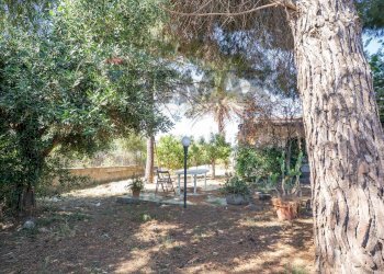 Giardino - Casa indipendente Via della Pilosella
 
47, Catania - foto 8